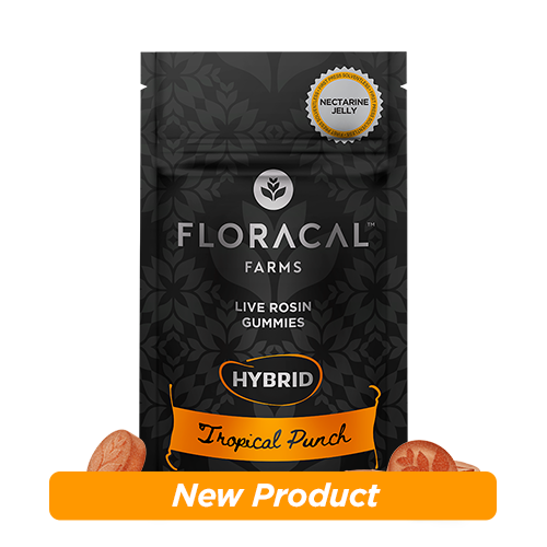 Buy Tropical Punch Gummies